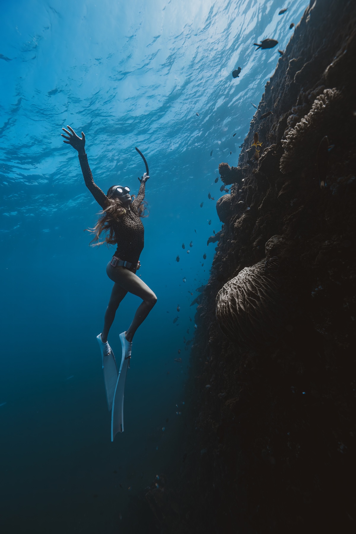 Dive Sites